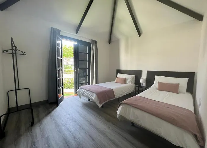 Cardones プラヤ・デ・ラス・アメリカス