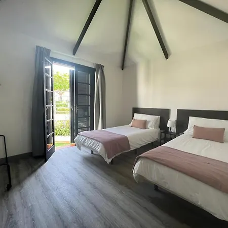 Cardones Playa de las Américas